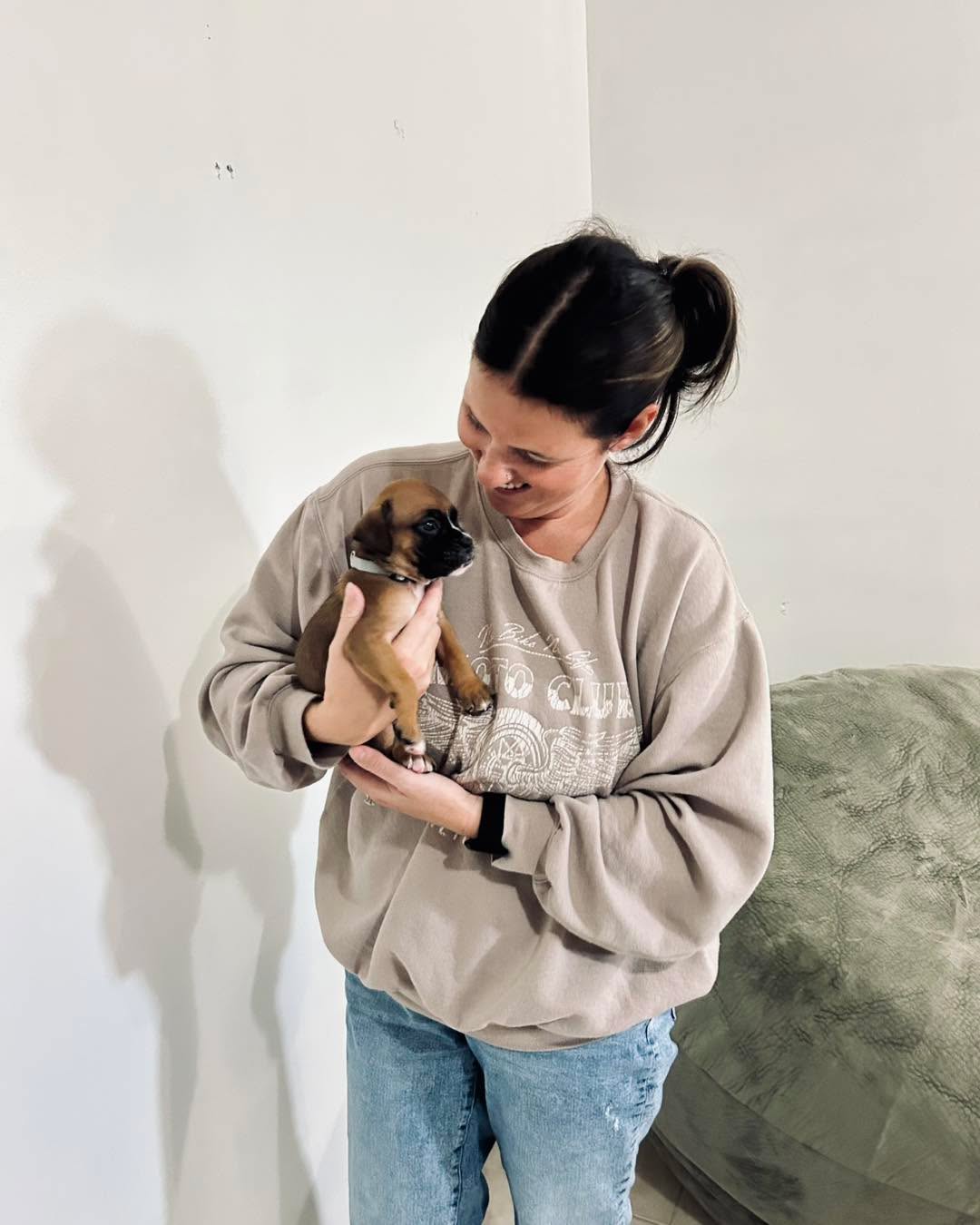 Healthy Boxer puppy raised in home environment